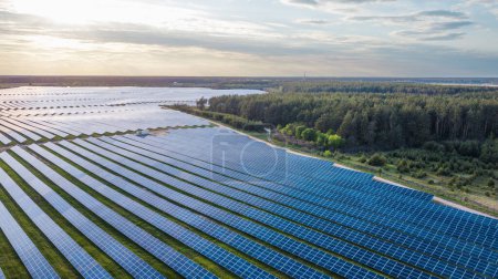 Photo for Top view of solar panels and green forest at sun (ecology concept) - Royalty Free Image