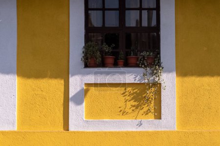 Photo for Panjim, Goa, India - January 2023: Exterior facade of an old Portuguese era house with yellow walls in the Fontainhas area of Panaji. - Royalty Free Image