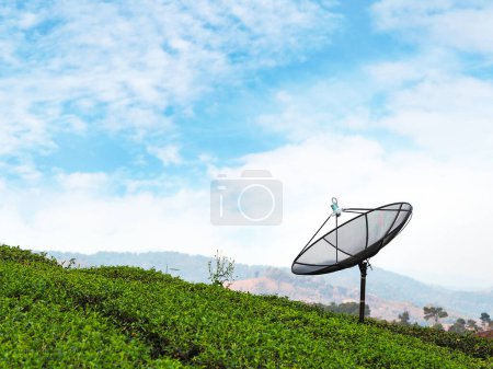 Satellite dish in green tea farm on the mountain  