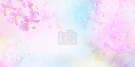 Téléchargez les photos : Fond pastel abstrait floral avec espace de copie. Bouquet de fleurs dans un style doux pour mariage ou carte de Saint-Valentin. Taille de la bannière
. - en image libre de droit