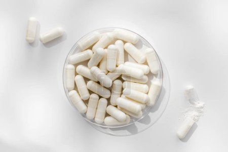 Téléchargez les photos : Capsules médicinales blanches dans une boîte de Pétri, vitamines et suppléments. Le concept de médecine, les médicaments. - en image libre de droit