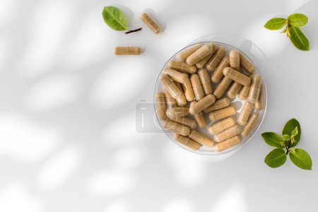 Téléchargez les photos : Les capsules vitaminiques à base de plantes naturelles sont brunes sur fond blanc. Le concept de médecine, les médicaments. Espace de copie - en image libre de droit