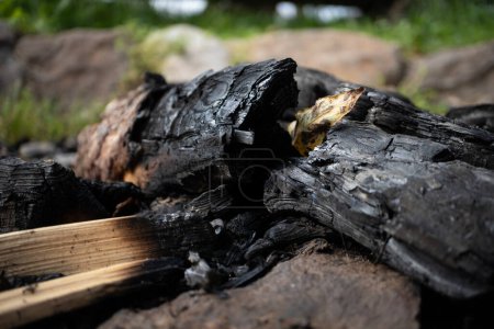 Téléchargez les photos : Anneau de feu avec bois brûlé et forêt sur fond - en image libre de droit