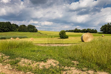 Photo for Summer field with bales on meadow and clouds on sky - Royalty Free Image