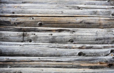 Photo for Weathered wood - old logs wooden background - Royalty Free Image