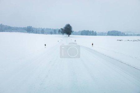 Téléchargez les photos : Route glissante d'hiver et champ couvert de neige - en image libre de droit