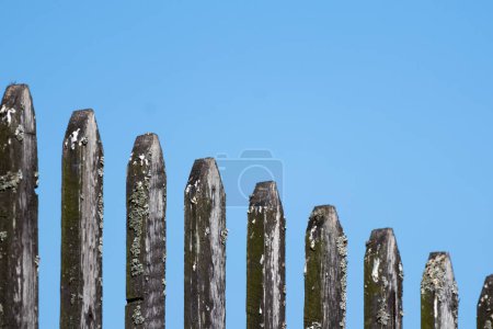 Foto de Madera erosionada - fance de madera con cielo azul sobre fondo - Imagen libre de derechos