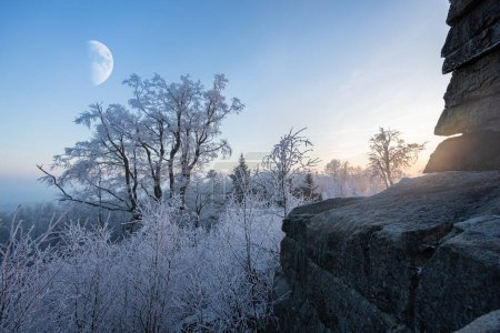 Téléchargez les photos : Paysage hivernal gelé en soirée avec rochers et arbres gelés - en image libre de droit