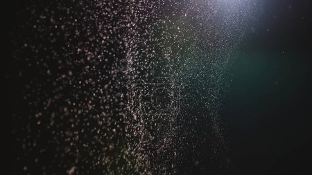 Foto de Partículas de polvo natural flotando sobre fondo negro con luz. Partículas brillantes en el aire con efecto bokeh. Macro shot de textura blanca nieve, humo, vapor, niebla con luminosidad deslumbrante - Imagen libre de derechos