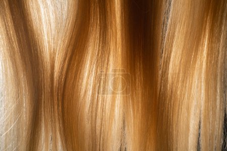 Natural piece locks of white smooth hair illuminated by light. Womens well groomed combed blond hair. Macro shot of long straight of healthy bleached hair. Womens synthetic wig. Hair care