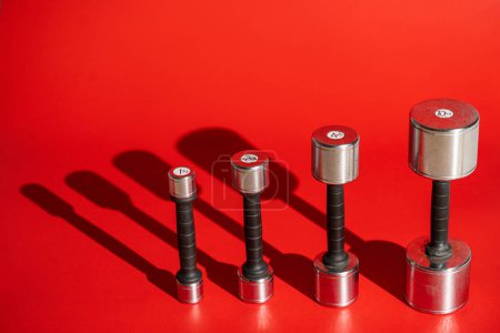 Photo for Set of metal silvery dumbbells on a red background with falling shadows. Four dumbbells of different sizes and weights for pumping up muscles. Sports equipment for fitness, crossfit, bodybuilding - Royalty Free Image