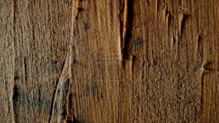 Photo for Texture of brown old wooden board with scratches and cuts. Damaged aged rough timber in dark indoors. Structure of scabrous pattern of wooden aged surface with stains. Unhewn rugged wood plank or wall - Royalty Free Image