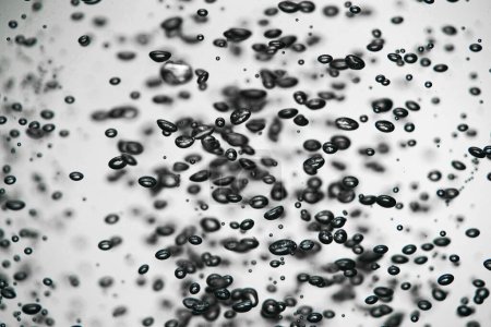 Photo for A lot of shiny dark air bubbles of different sizes underwater on a white isolated background. Close up of light lit oxygen bubbles flow upwards. Aeration or filtration of liquid. Fizzy flow of air - Royalty Free Image