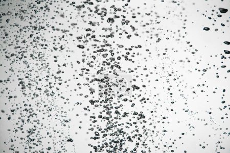 Foto de Un montón de brillantes burbujas de aire oscuro de diferentes tamaños bajo el agua sobre un fondo blanco aislado. El primer plano de burbujas de oxígeno iluminadas por la luz fluye hacia arriba. Aireación o filtración de líquido. Flujo vertiginoso de aire - Imagen libre de derechos