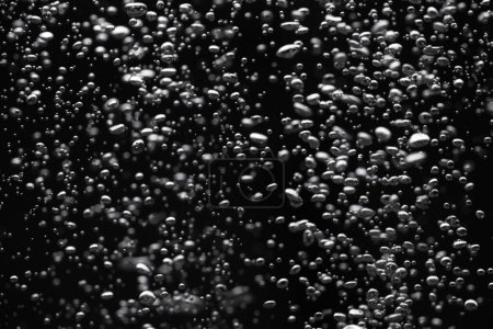 Téléchargez les photos : A lot of shiny air bubbles of different sizes underwater on a black isolated background. Close up of light lit oxygen bubbles flow upwards. Aeration or filtration of liquid. Fizzy flow of air bubbles - en image libre de droit