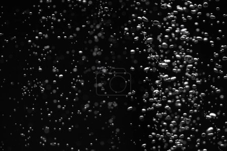 Foto de Una gran cantidad de burbujas de aire brillantes de diferentes tamaños bajo el agua sobre un fondo negro aislado. El primer plano de burbujas de oxígeno iluminadas por la luz fluye hacia arriba. Aireación o filtración de líquido. Flujo mareado de burbujas de aire - Imagen libre de derechos