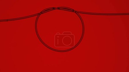 Photo for Hair that is tied into a round loop on a red background. Macro shot of a thin even hair tied into a knot and forming a circle. Texture of human hair. Thread, string, hair under a microscope or - Royalty Free Image