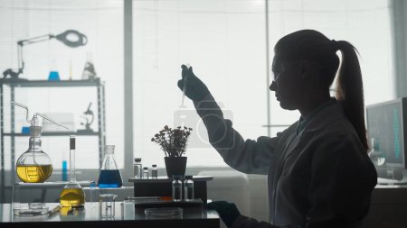 Foto de La científica trabaja en el laboratorio. Una mujer usa una pipeta para agregar un químico a una planta en maceta. Vista lateral de la silueta oscura exploradores. Concepto de investigación, biotecnología, genética - Imagen libre de derechos