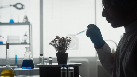 Foto de Un científico trabaja en el laboratorio de cerca. Un hombre usa una pipeta para agregar un químico azul a una planta en maceta. Vista lateral de la silueta oscura exploradores. Concepto de investigación, biotecnología, genética - Imagen libre de derechos