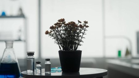 Téléchargez les photos : Plante d'intérieur dans un pot sur une table sur un fond flou dans le laboratoire fermer. Laboratoire scientifique - en image libre de droit