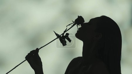 Foto de Vídeo de cerca del perfil lateral de una joven silueta de mujer sosteniendo una rosa roja en su mano y arrastrándola por su cara. Fondo verde claro. Publicidad de ocio o producto. - Imagen libre de derechos