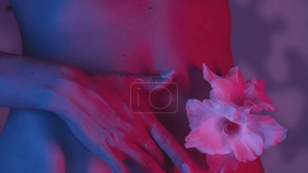Téléchargez les photos : La taille des femelles en vue rapprochée est délicatement touchée par les doigts, avec une fleur de gladiolus sur le côté de la taille. Schéma de couleurs rose et bleu contrastés, fond couvert d'ombres douces. - en image libre de droit