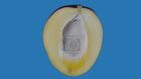 Photo for Healthy eating fruits and vegetables creative concept. Fruit against colored screen. Closeup studio shot of half sliced mango isolated on blue background. - Royalty Free Image