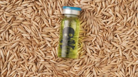 Photo for Hazardous chemicals in the agricultural industry. Closeup shot of wheat grains background and small glass bottle with liquid and hazard sticker on the surface. - Royalty Free Image