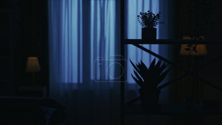 Téléchargez les photos : Portrait de silhouette féminine dans l'appartement sombre. La vie quotidienne concept créatif. Gros plan des étagères placard avec des pots de plantes de fleurs debout sur elle. - en image libre de droit