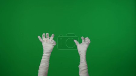 Foto de Detalle pantalla verde aislada croma clave foto captura momias manos levantadas en el aire, moviéndose espeluznantemente. Prepárate, espacio de trabajo para tu clip de promoción o anuncio. - Imagen libre de derechos
