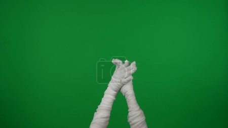 Photo for Detail green screen isolated chroma key photo capturing mummys hands raised up in the air, they are clapping. Mock up, workspace for your promotion clip or advertisement. - Royalty Free Image