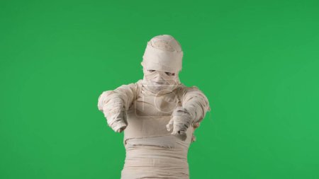 Photo for Green screen isolated chroma key photo capturing a mummy pulling its arms to the camera as if its trying to scare. Halloween holidays. Mock up, workspace for your promotion clip or advertisement. - Royalty Free Image