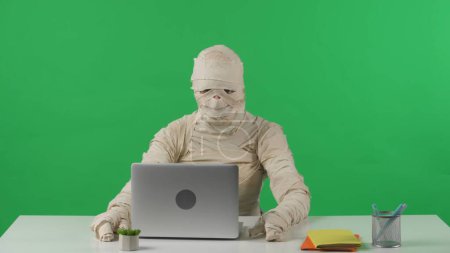 Foto de Pantalla verde aislado croma clave foto capturar una momia sentada en la mesa, delante de un ordenador portátil, escribiendo, navegar en línea. Prepárate para tu clip de promoción o anuncio de producto. Halloween vacaciones - Imagen libre de derechos