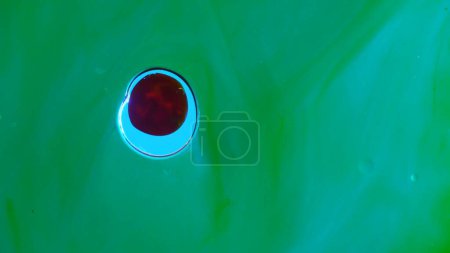 Photo for Water and different liquid creative advertisement concept. Close up studio shot of water texture. Beautiful green paint colored water surface with red ink drop abstract wallpaper background template. - Royalty Free Image