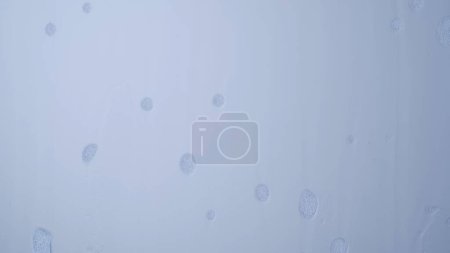 Photo for Water and mixed ingredients creative abstract concept. Close up studio shot of aqua. Foam bubbles falling flowing down by the clear surface creating blurry effect, beautiful abstract background. - Royalty Free Image