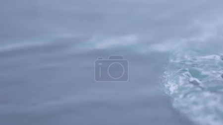 Photo for Nature water and light creative advertisement concept. Close up studio shot of aqua surface. Beautiful monochrome clear gradient surface of water with waves and circles effect, wallpaper background. - Royalty Free Image