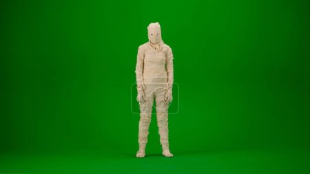 Photo for A mummy wrapped in bandages looking directly into the camera. Green screen isolated chroma key. Mock up, workspace, advertisement. Full length. Halloween holidays. - Royalty Free Image