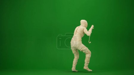 Téléchargez les photos : Une momie enveloppée dans des bandages pose dans une pose effrayante. Écran vert isolé clé chromatique. Maquette, espace de travail, publicité. Sur toute la longueur. Demi-tour. Vacances d'Halloween. - en image libre de droit