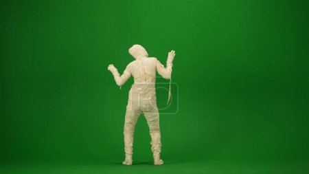 Photo for A mummy wrapped in bandages poses in a scary pose, back view. Green screen isolated chroma key. Mock up, workspace, advertisement. Full length. Back view. Halloween holidays. - Royalty Free Image