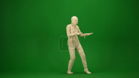 Téléchargez les photos : Une momie enveloppée dans des bandages pose dans une pose effrayante. Écran vert isolé clé chromatique. Maquette, espace de travail, publicité. Sur toute la longueur. Vacances d'Halloween. Demi-tour. - en image libre de droit
