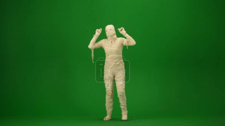 Photo for A mummy wrapped in bandages poses or dances with his arms raised. Green screen isolated chroma key. Mock up, workspace, advertisement. Full length. Halloween holidays. - Royalty Free Image