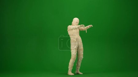 Photo for Green screen isolated chroma key half turn photo capturing a mummy outstretching its arms and as if its trying to scare. Full length. Mock up, workspace for your promotion clip or advertisement. - Royalty Free Image