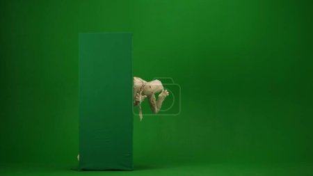 Téléchargez les photos : Écran vert isolé chroma photo clé capturant une momie montrant de derrière une boîte de bannière d'écran vert, huer et effrayer quelqu'un. Sur toute la longueur. Maquette pour votre clip de promotion ou publicité. - en image libre de droit