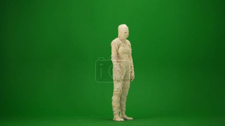 Téléchargez les photos : Une momie enveloppée dans des bandages. Écran vert isolé clé chromatique. Maquette, espace de travail, publicité. Sur toute la longueur. Demi-tour. Vacances d'Halloween. - en image libre de droit