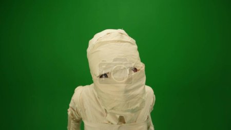 Photo for Green screen isolated chroma key photo capturing a mummy staring ominously into the camera as if its trying to scare. Close up wide-angle shot. Mock up for your promotion clip or advertisement. - Royalty Free Image