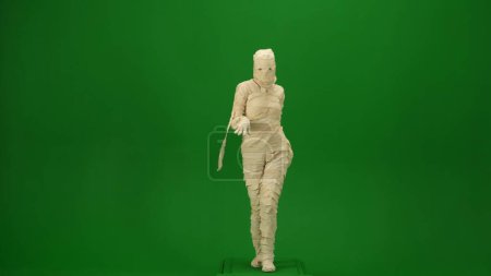 Photo for Green screen isolated chroma key photo capturing a mummy walking gracefully towards the camera as if its on a catwalk. Mock up, workspace for your promotion clip or advertisement. Full length. - Royalty Free Image
