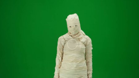 Photo for Green screen isolated chroma key photo capturing a mummy staring ominously into the camera as if its trying to scare. Medium size. Mock up for your promotion clip or advertisement. - Royalty Free Image