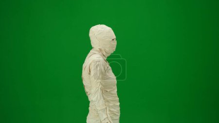 Photo for A mummy wrapped in bandages. Green screen isolated chroma key. Mock up, workspace, advertisement. Medium size. Side view. Halloween holidays. - Royalty Free Image