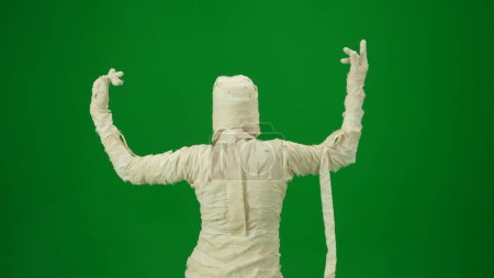 Foto de Una momia envuelta en vendas baila con los brazos levantados. Tecla de croma aislada de pantalla verde. Mock up, espacio de trabajo, publicidad. De tamaño medio. Vista trasera. Halloween vacaciones - Imagen libre de derechos