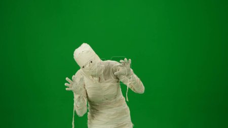 Foto de Pantalla verde aislada croma clave foto capturar una momia mirando a la cámara, levantando las manos y asustando a alguien. De tamaño medio. Prepárate, espacio de trabajo para tu clip de promoción o anuncio. - Imagen libre de derechos